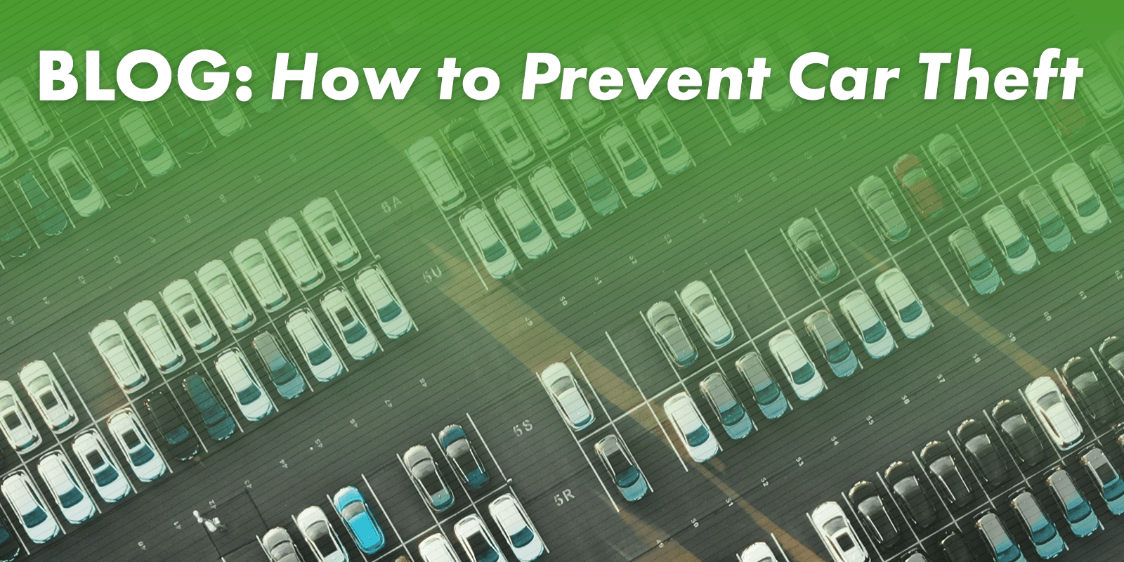 Five Ways to Prevent Car Theft - An image of cars lined up in a parking lot.