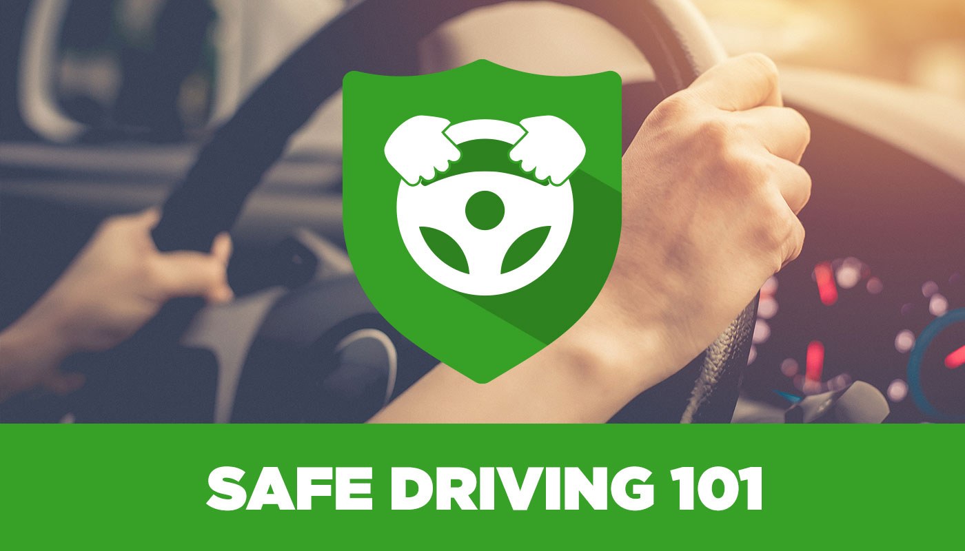 Safe Driving 101: Top 5 Tips for Road Safety - An image of a shield with a steering wheel on it. In the background, an image of a person holding a steering wheel.